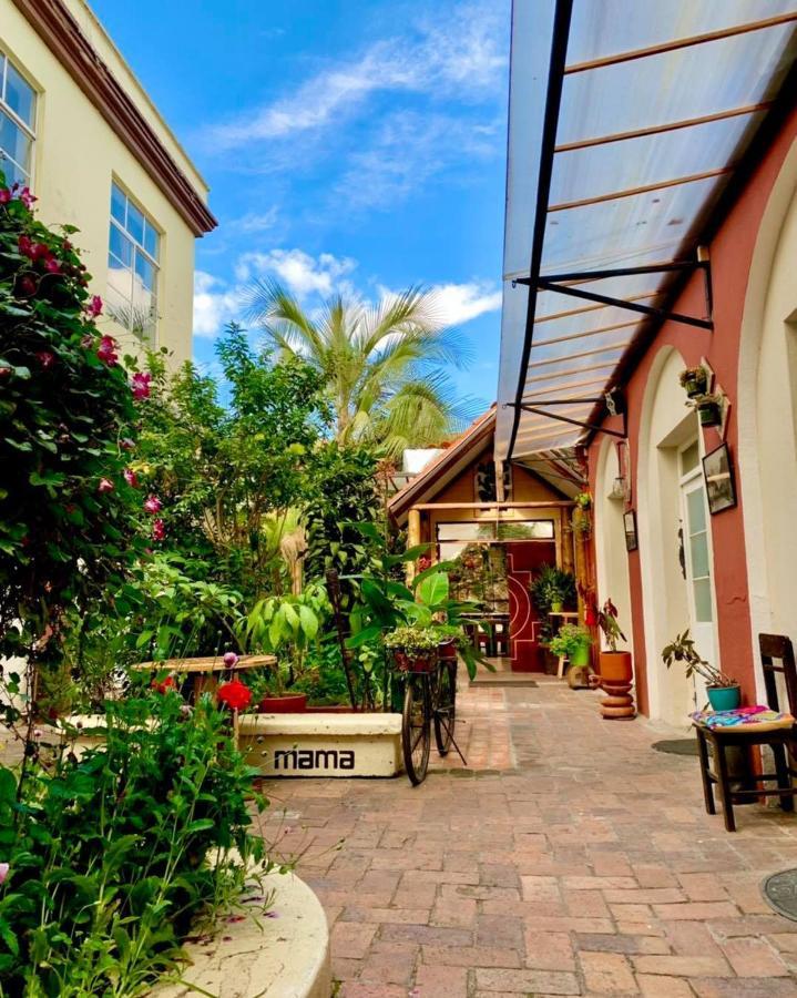 Hostal Yakumama Куенка Екстер'єр фото